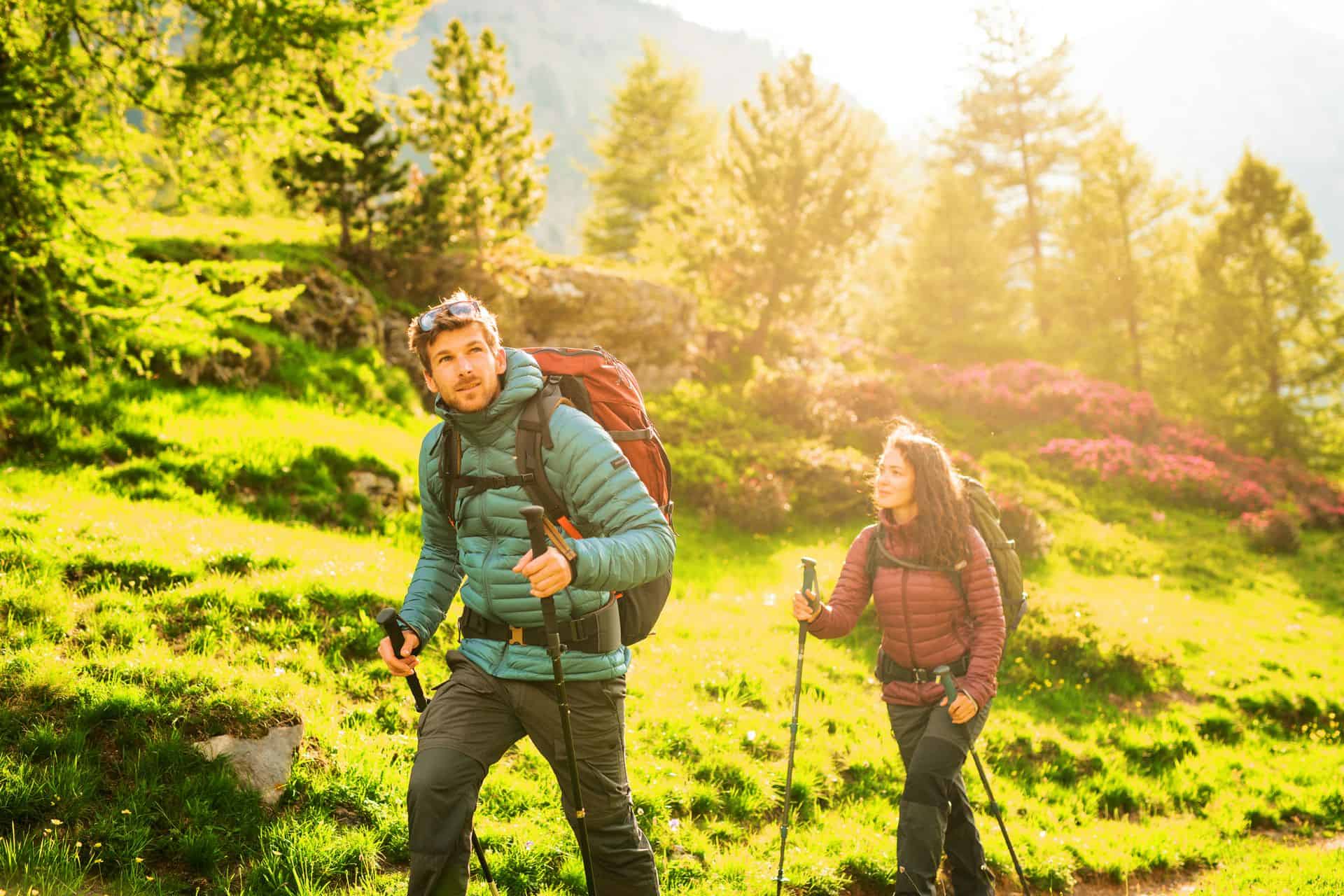 Karpaty w Polsce. Jakie pasma górskie Karpat warto zwiedzić w kraju?